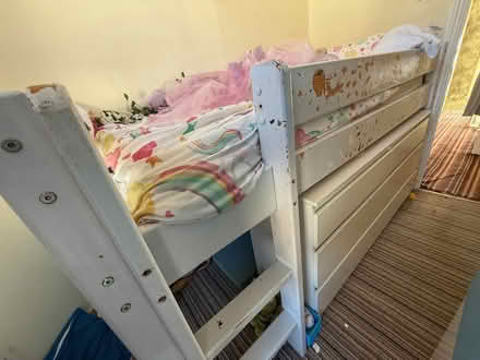 Photo of free Single children's cabin bed (Round Hill BN2) #1