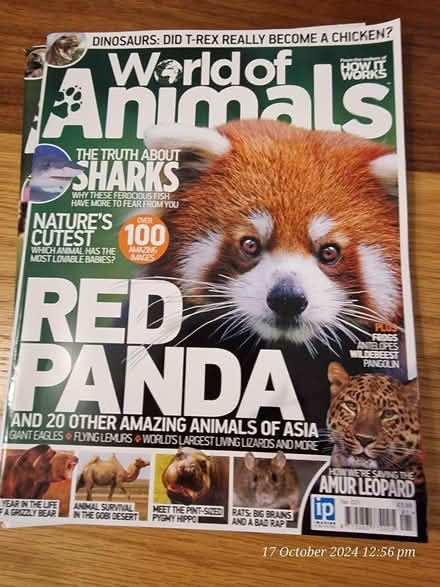 Photo of free Magazine World of Animals (South Oxhey WD19) #1