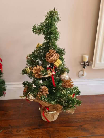 Photo of free Christmas decorations (Bradley Stoke BS32) #1