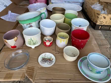 Photo of free Plant Pots & Plates (BH8) #1