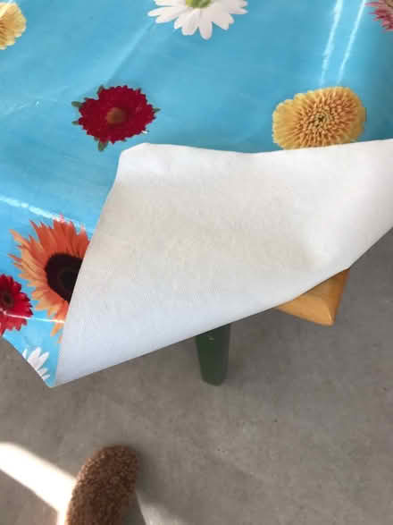 Photo of free Waterproof tablecloth (Earley RG6) #2