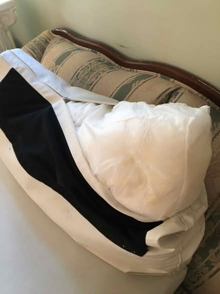 Photo of free Vinyl chair cushions (Catonsville) #3