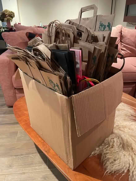Photo of free Paper Bags (Homewood) #1