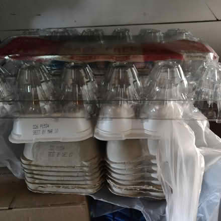 Photo of free Egg cartons (Livonia) #1