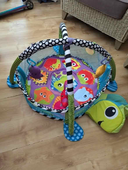 Photo of free Baby play mat (Snodland Kent) #2