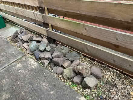 Photo of free Grey Rockery stone (Belvidere SY2) #2