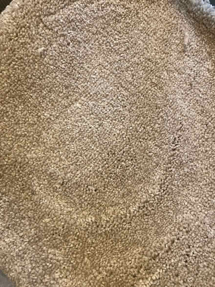 Photo of free Carpet (Havant) #1