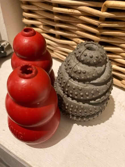 Photo of free Dog shampoo and kongs (Dull PH15) #2