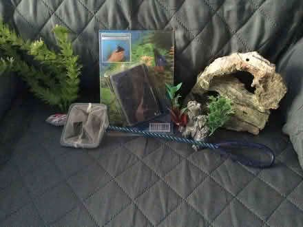 Photo of free Fish tank accessories (Strood ME2) #1