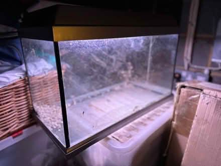 Photo of free 60L aquarium Fish Tank (Ellesborough HP17) #3