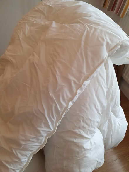 Photo of free Single duvet (Allington ME16) #1