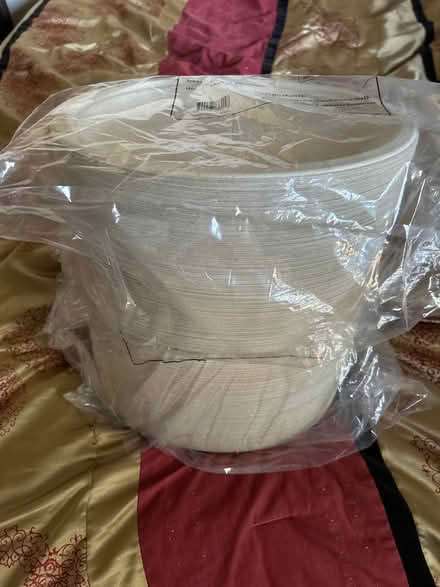 Photo of free Paper dinner plates (Shadowridge) #1