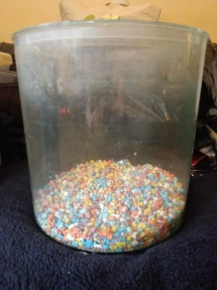 Photo of free 10lt fish tank (AL10) #1