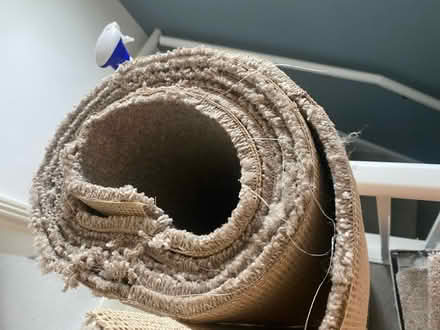 Photo of free Carpet (Havant) #2