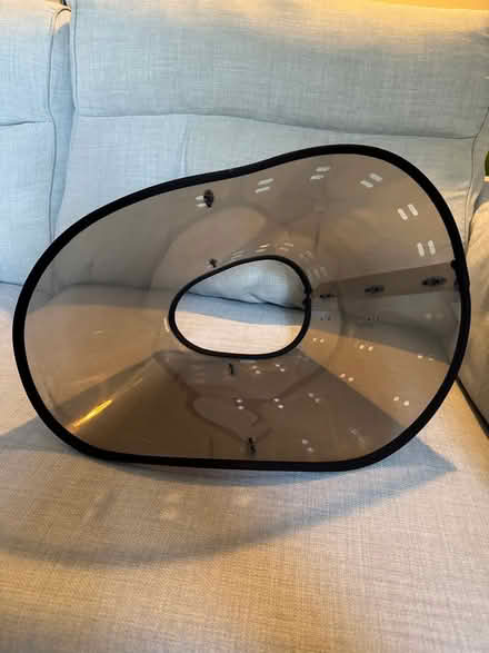 Photo of free Medium Dog Medicine Vet Collar (Hitchin) #2