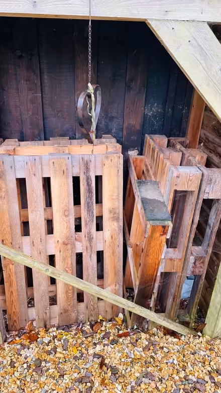 Photo of free 6 - Possibly 8 - Wooden Pallets (New forest, Bramshaw) #1