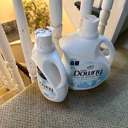 Photo of free New Downey fabric softener (Brookline Village) #1
