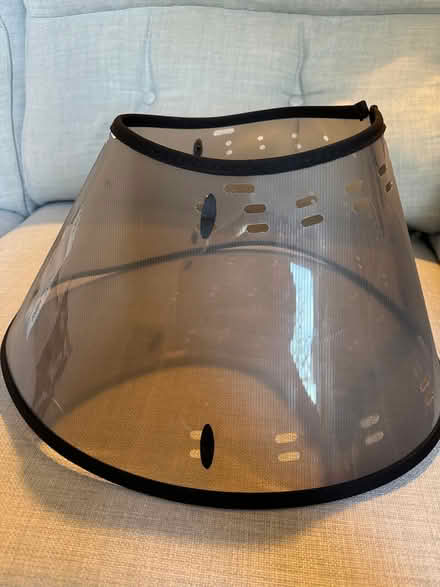 Photo of free Medium Dog Medicine Vet Collar (Hitchin) #1