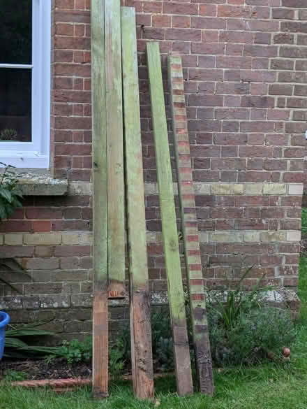 Photo of free Garden timber (South Chailey) #2