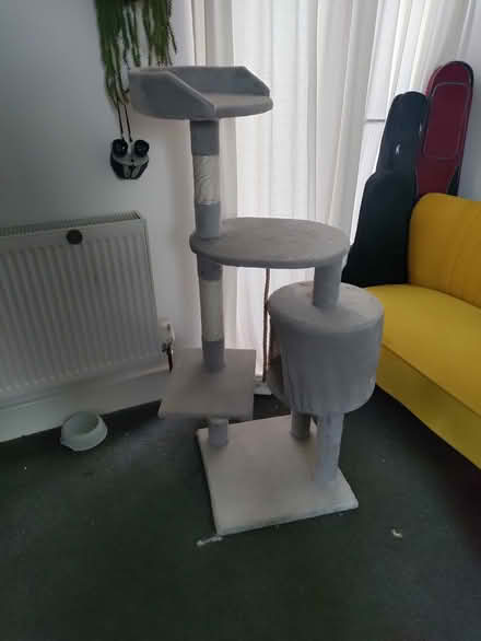 Photo of free Cat tree and covered litter tray (CR0 New Addington) #1