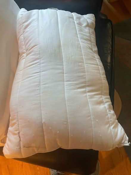 Photo of free Pillows (Los Altos) #2