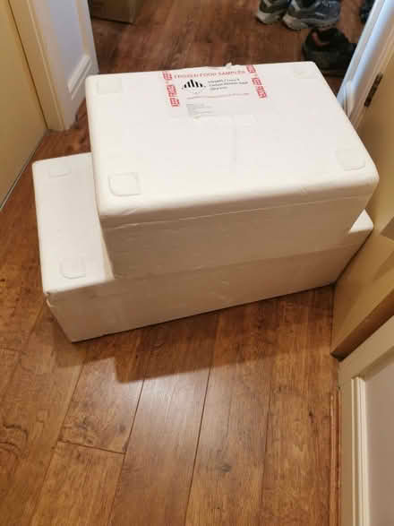 Photo of free 2 Polystyrene Ice Boxes (Longsands PR2) #2