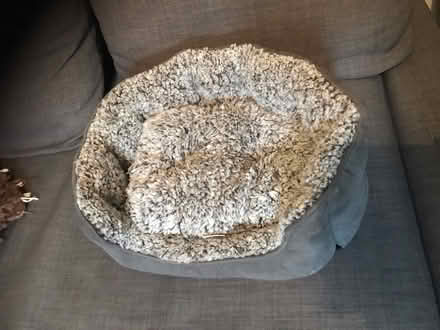 Photo of free Cat bed (Cardonald, Glasgow, G52) #1