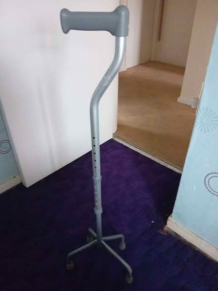 Photo of free Quad-foot walking stick (Sele Farm SG14) #1