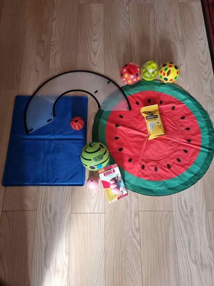 Photo of free Dog/Puppy accessories (Hatfield Peverel CM3) #1