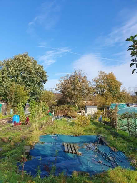 Photo of Allotment things (L17) #1