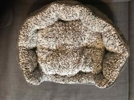 Photo of free Cat bed (Cardonald, Glasgow, G52) #2