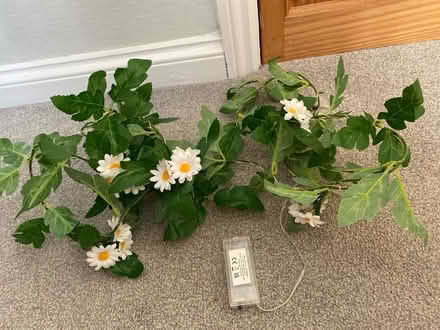 Photo of free Light up flower garland (Bristol BS15) #1