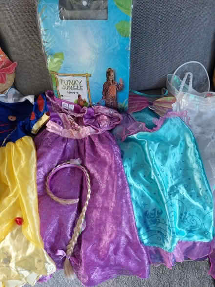 Photo of free Dressing Up Clothes (Kempshott, Basingstoke) #3