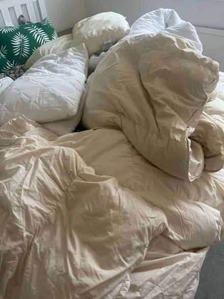 Photo of free Duvet and cushions (Withdean) #1