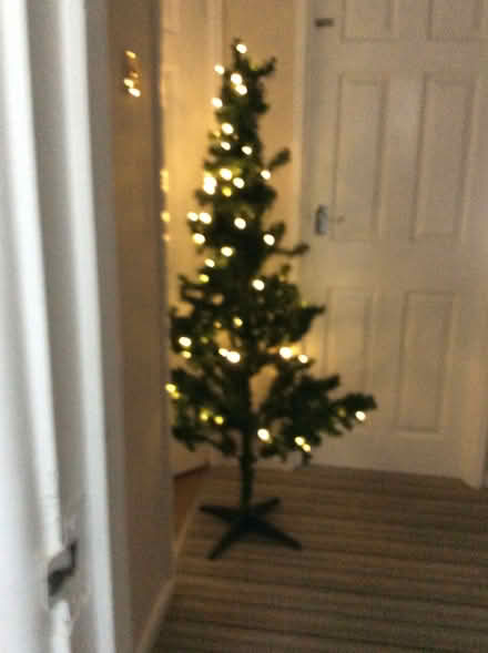 Photo of free Christmas tree (CM9 6js) #1