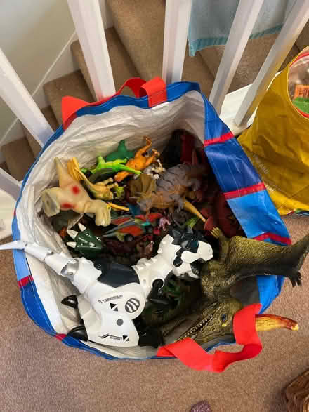 Photo of free Bag of random dinosaurs (Nottingham NG5) #1