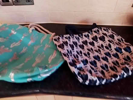 Photo of free 2 strong shopping bags (Huntly AB54) #1