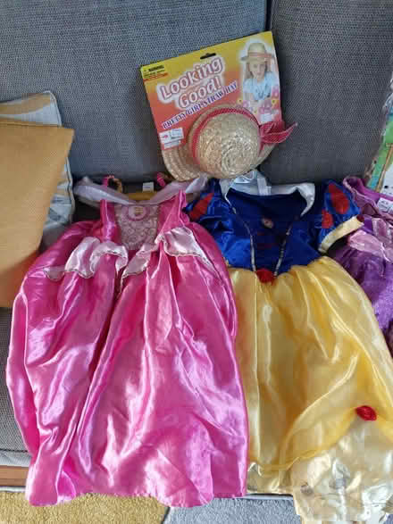 Photo of free Dressing Up Clothes (Kempshott, Basingstoke) #2