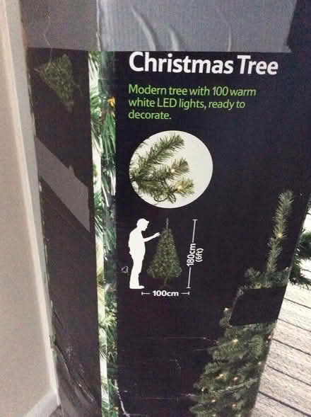 Photo of free Christmas tree (CM9 6js) #3