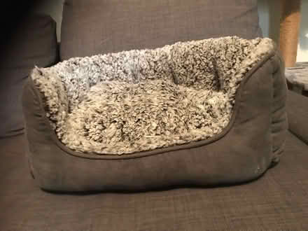 Photo of free Cat bed (Cardonald, Glasgow, G52) #3