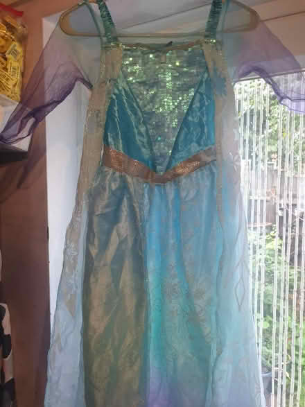 Photo of free Elsa Disney dressing up costume (Beckton E6) #1