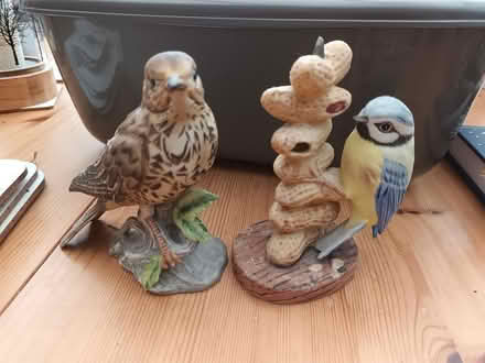 Photo of free 2x garden bird ornaments (Crookes (S10)) #1