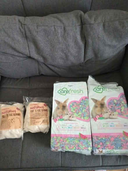 Photo of free Hamster Bedding (IP3) #1