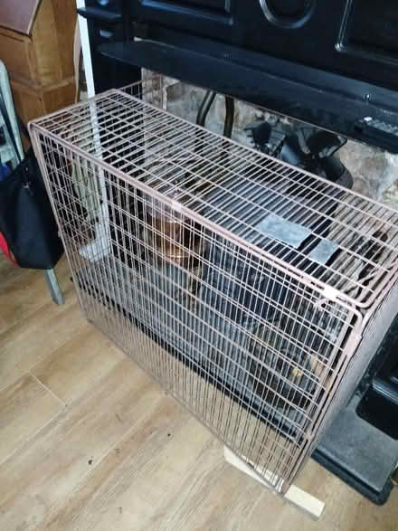 Photo of free Extendable fireguard (Tipton DY4) #1