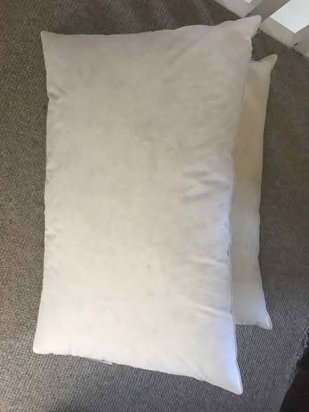 Photo of free Feather pillows (Carter Knowle S7) #1