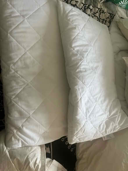 Photo of free Duvet and cushions (Withdean) #4