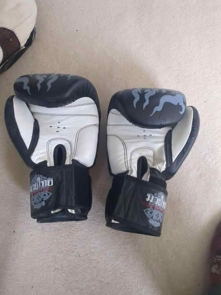Photo of free Sparring gloves (Caversham RG4) #2