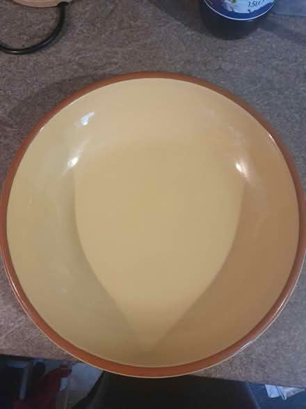 Photo of free Large bowl (Beckton E6) #1