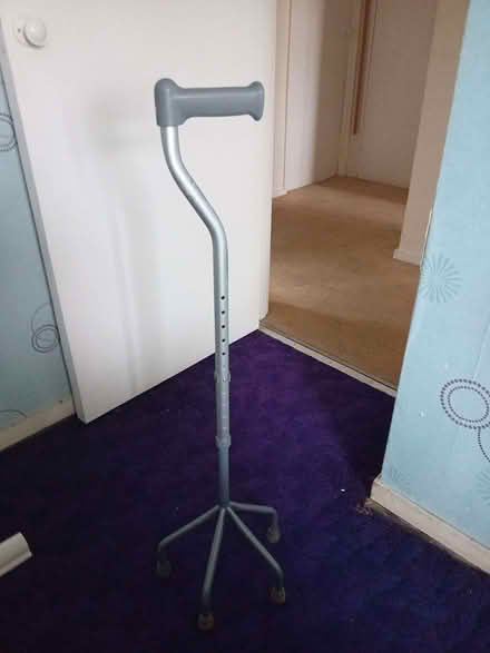Photo of free Quad-foot walking stick (Sele Farm SG14) #2