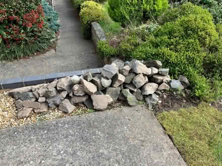 Photo of free Grey Rockery stone (Belvidere SY2) #1